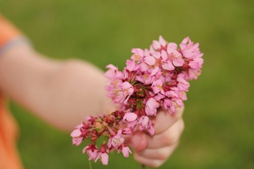 2015_03_22