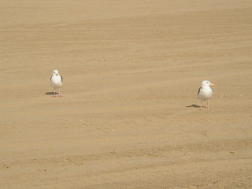 2015_05_22