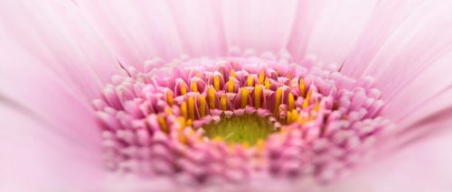 2015_06_02