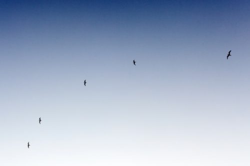 2016_04_19