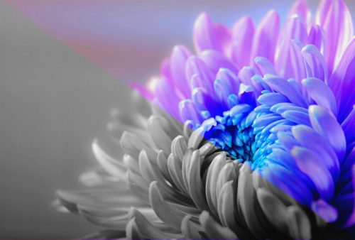 2016_07_22_1